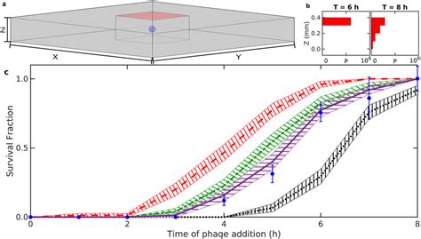 Image result for Replicate Pilot Program