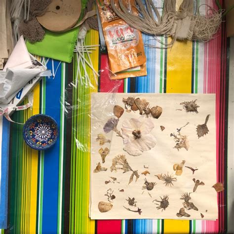 Salvador Andrade Arévalo - Chicago Artists Coalition