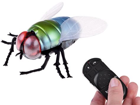 Image result for Remote Control Fly