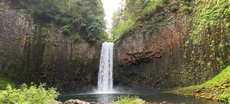 Abiqua Falls Trail, Oregon - 2,184 Reviews, Map | AllTrails