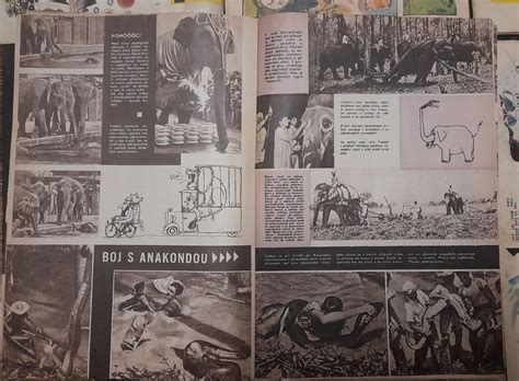 Pionýr komplet ročník X. 1963 čísla 1 - 8 - il Zd. Burian | Aukro