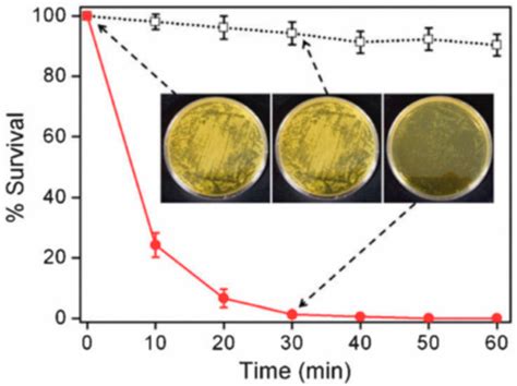Emerging Developments in the Use of Electrospun Fibers and Membranes ...