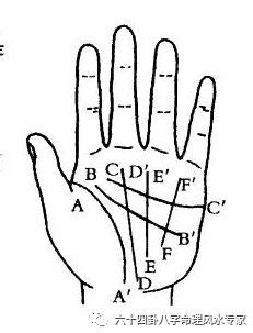 男人手掌指纹算命图解 指纹怎么看运势-十二星座网