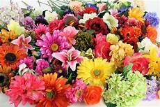 fiori finti fiori artificiali ingrosso piante finte acquistare fiori finti fiori artificiali ingrosso piante finte acquistare