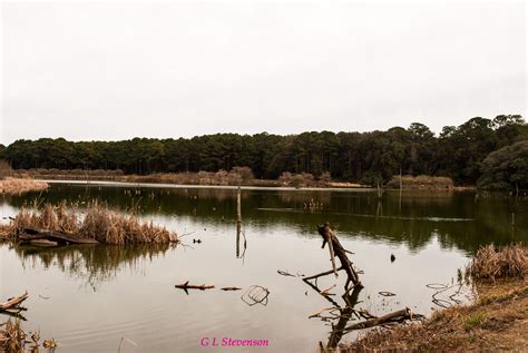 Harris Neck Wildlife Refuge | National wildlife refuge, Favorite places ...
