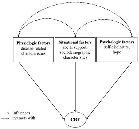 Correlates of Cancer-Related Fatigue among Colorectal Cancer Patients ...