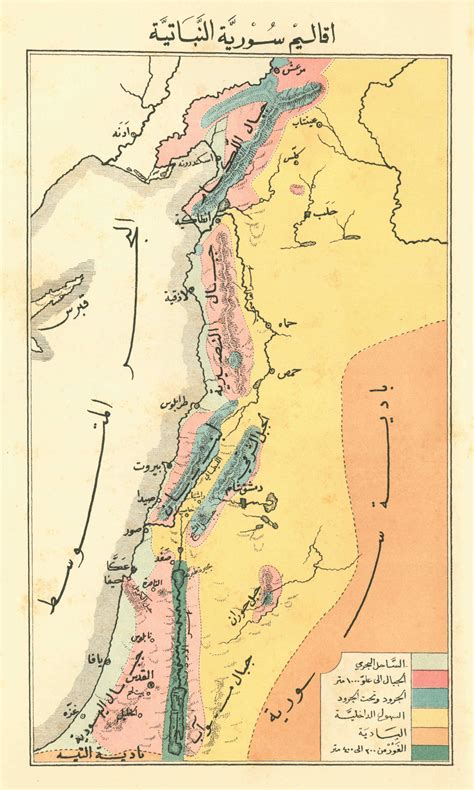 Arab Map Of Palestine