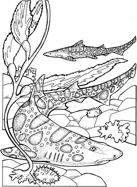 Coloring Pages: Shark Coloring Pages Free and Printable