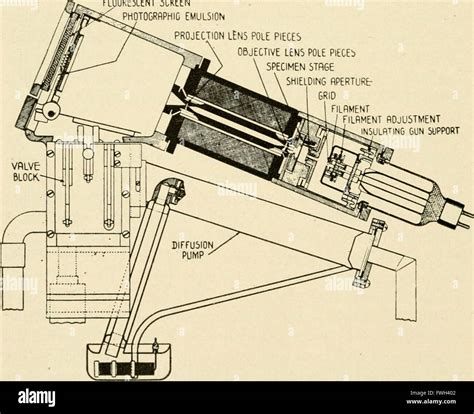 Electron Microscope Drawing 的图像结果