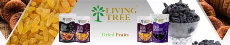 Amazon.in: Living Tree: Black Raisins