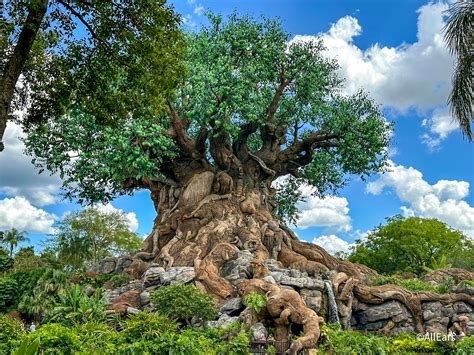 Extinct EPCOT: The History of Universe of Energy - AllEars.Net