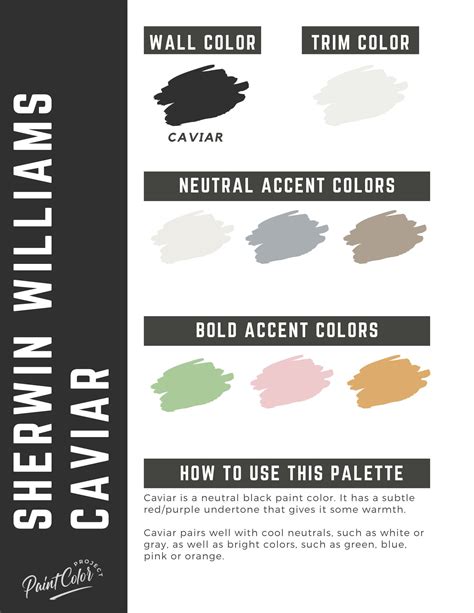 Sherwin Williams Caviar Paint Color Palette - The Paint Color Project
