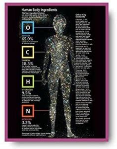 Human Body Ingredients Poster - Kids learning Charts / Posters for Kids ...