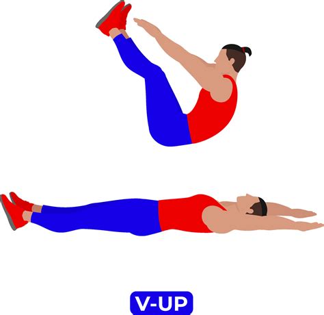 Vector Man Doing V Up Bodyweight Fitness Abs and Core Workout Exercise ...
