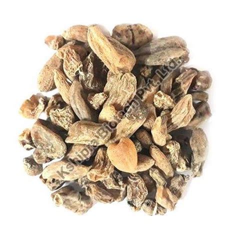 Kuchla Extract Manufacturer, Supplier from Indore