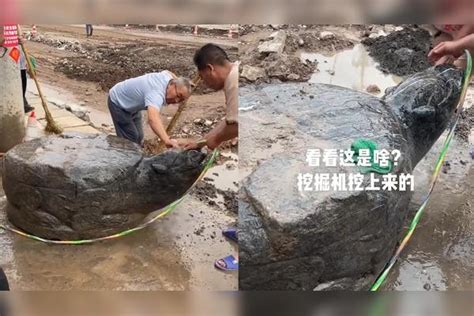 河南一村庄修道路，意外挖出一个精致的大石龟，由整块石头雕刻而成