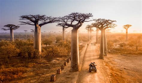 Madagascar Itineraries - Rough Guides | Rough Guides