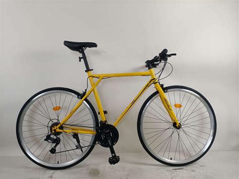 Buy Liberty 560 Bicycle 700 X 28C 21 Speed SUNRUN Frame Height 56cm ...