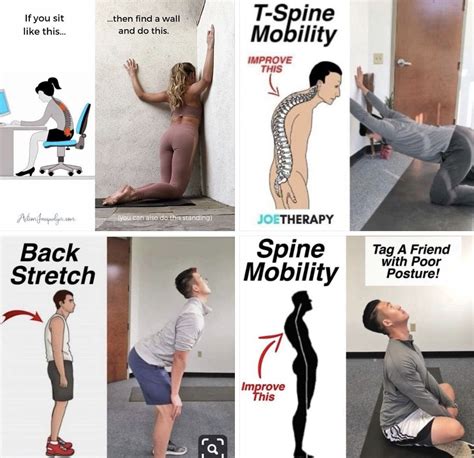 Neck Exercise 的图像结果