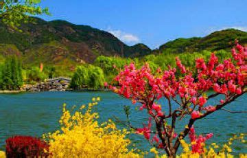 3 Days Srinagar, Gulmarg with Dal Lake Trek Vacation Package | Srinagar ...