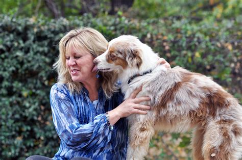 How To Stop Dog Licking My Face