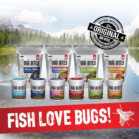 Buy Fluval Bug Bites Bottom Feeder Fish Food, Granules for Small to ...