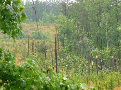 Fairfield County, SC Tornado May 3rd, 2010