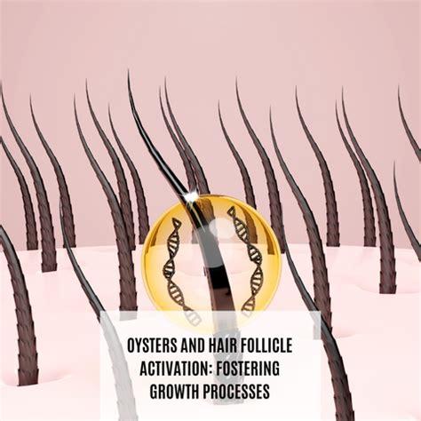 Oyster Power: Nature's Treasure for Hair Growth | Clinikally