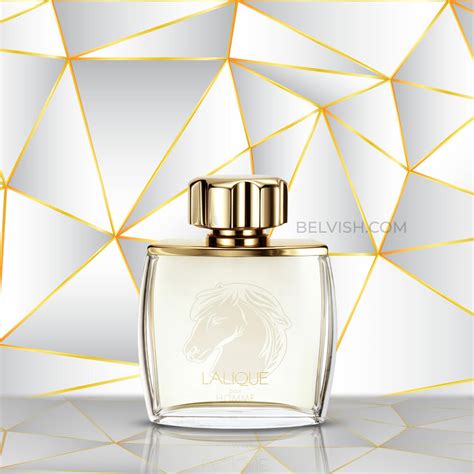 Lalique Equus Pour Homme Eau de Parfumfor Men | Belvish