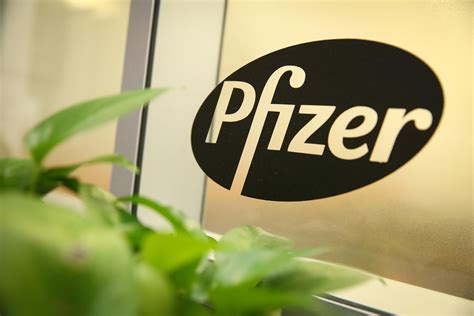 辉瑞制药有限公司(Pfizer Pharmaceuticals Limited)招聘信息|招聘岗位|最新职位信息-智联招聘官网