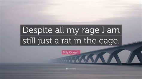 Billy Corgan Quote: “Despite all my rage I am still just a rat in the ...