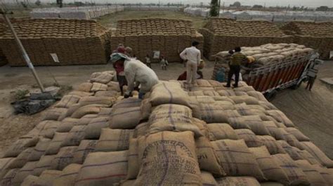 169.50 LMT Paddy Procured