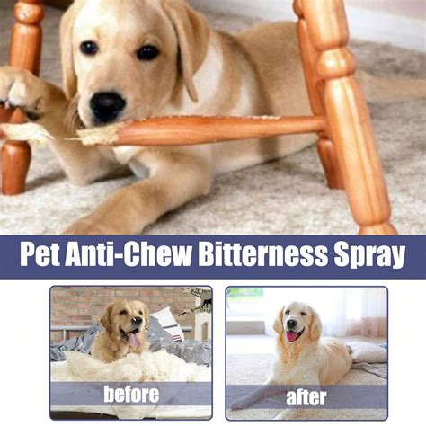 Pet Bitter Anti-Gnaw Spray 50ml Pack To Repel Dogs From Chewing Chair ...