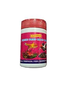 Fish-O-Fish Hallofeed Freeze Dried Blood Worms, (5gm) : Amazon.in: Pet ...