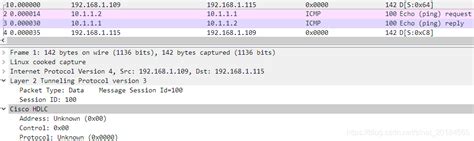 L2TPv3 Tutorial 的图像结果