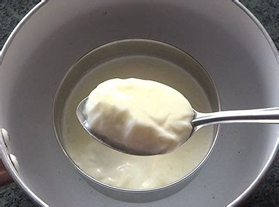 Thick curd in 1 hour | How to make curd in 2 hours | Quick curd recipe ...