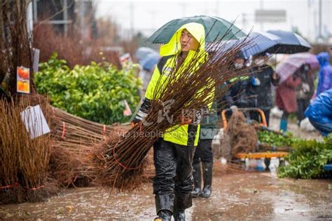 西安市阎良区林业科技中心赴鄠邑区、周至县开展业务交流工作 - 国家种苗网