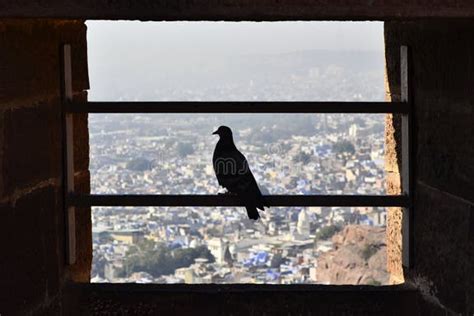 Image result for Rust Integer Data Types