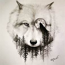 Wolf Wallpaper Sketch by I Like The Wolf And That The Wolf Is The Background Of The Wolf Wallpaper Sketch