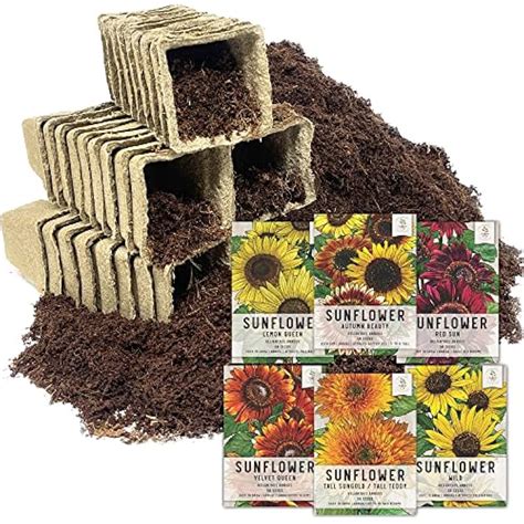 SeedNeeds Seed Needs, Sunflower Seed Packet Collection Seed India | Ubuy