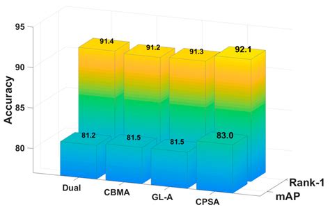 Dual Branch Attention Network for Person Re-Identification