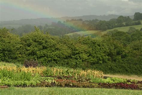 Small Acres 的图像结果