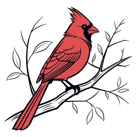 Cute Cardinal Bird Clipart | Free Png, Svg, Vector