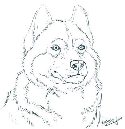 Husky Printable Dog Coloring Pages
