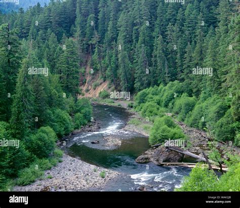 USA, Oregon, Mount Hood National Forest. Upper stretches of the ...
