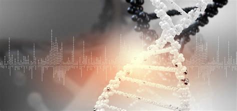 青岛DNA检测技术跻身世界级 滴血认凶揭秘(组图) - 青岛新闻网
