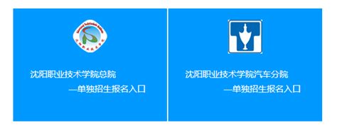 沈阳职业技术学院2020年单独招生考试报名入口-辽宁单考单招网