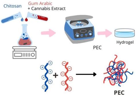Polyelectrolytes Complex-Based Hydrogels Derived from Natural Polymers ...