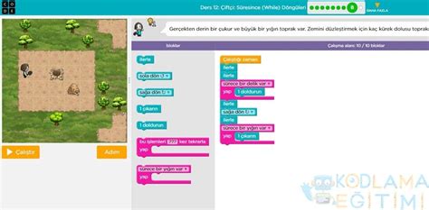 Code Kurse Code.org Lesson 12 的图像结果