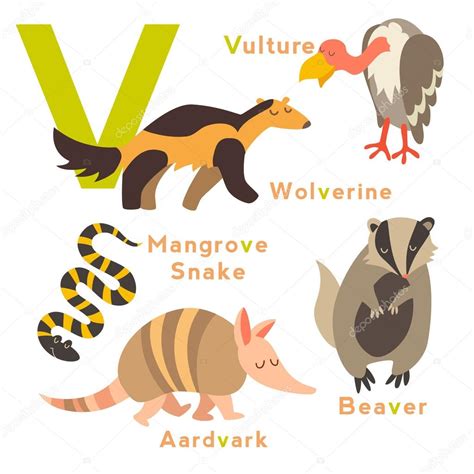 V letter animals set Stock Vector Image by ©coffeee_in #95723306
